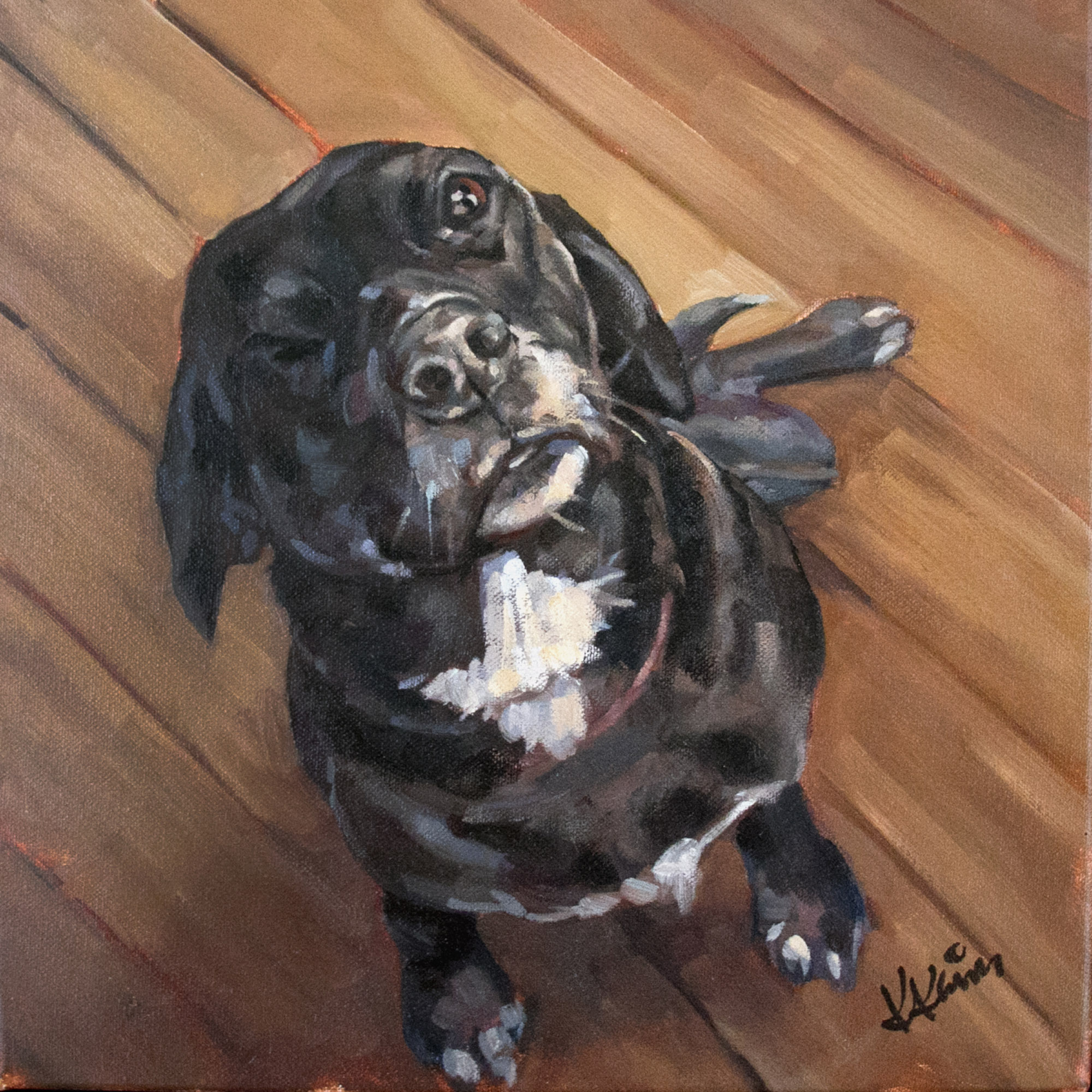 Missing Sassy – Oil on 12″ x 12″ canvas.  SOLD